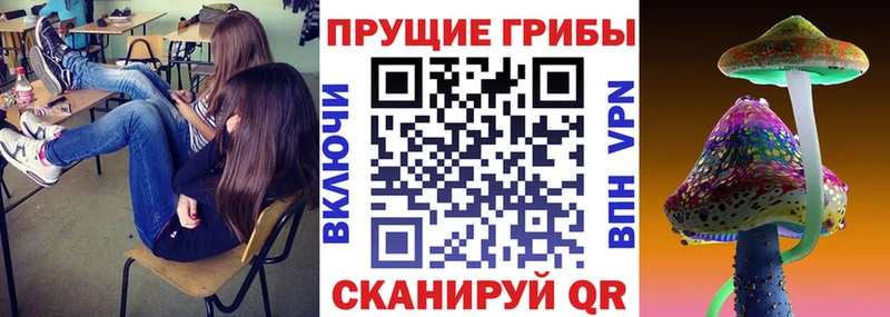 что такое   OMG рабочий сайт  Псилоцибиновые грибы Cubensis  Юхнов 